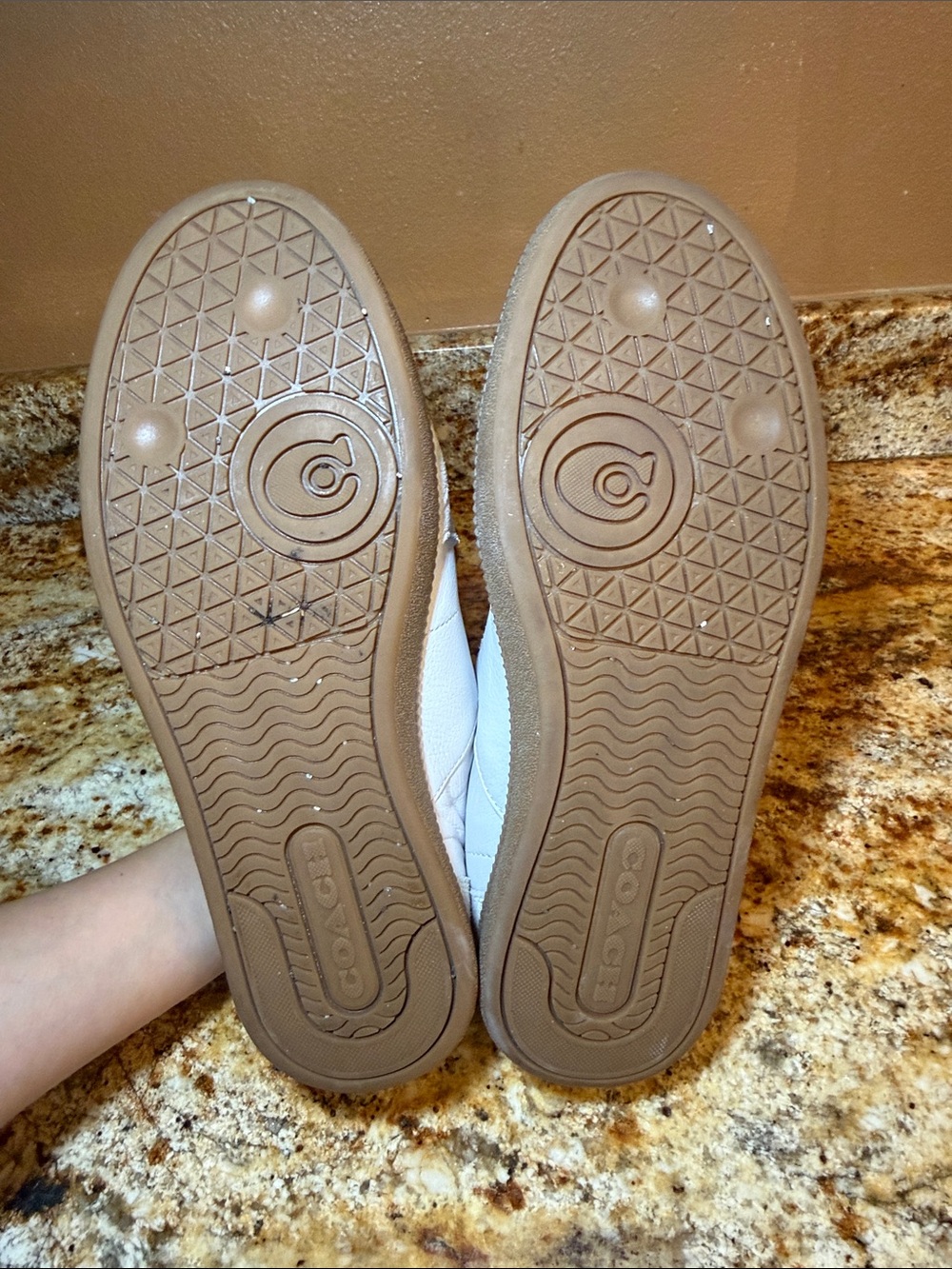 Coach Cream and White Lace-Up Leather Sneakers - Picture 5 of 6